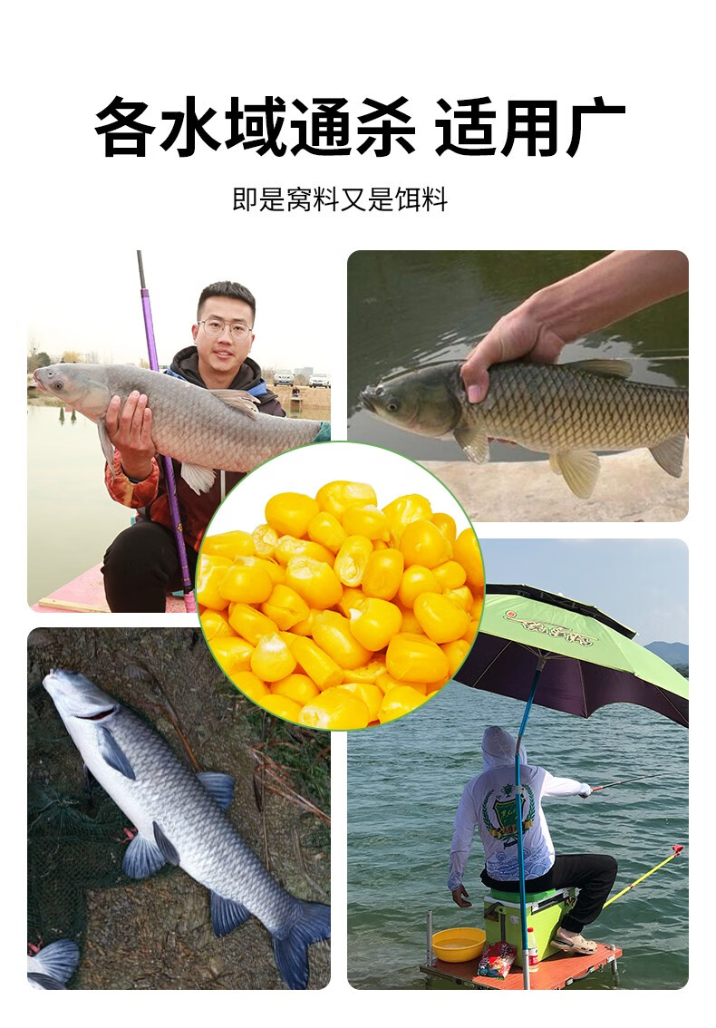 微信图片_20240819095757.png
