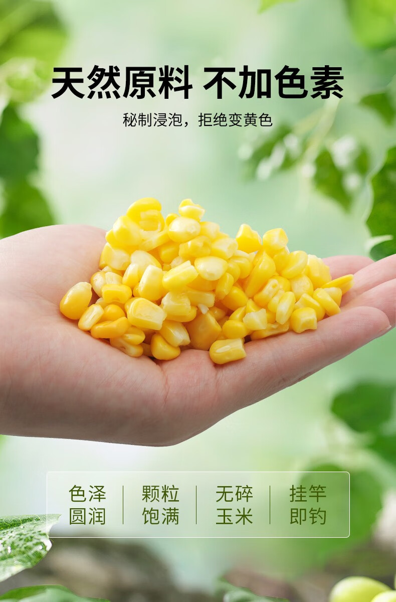 微信图片_20240819095701.png