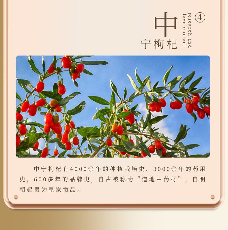 微信图片_20240824115426.jpg
