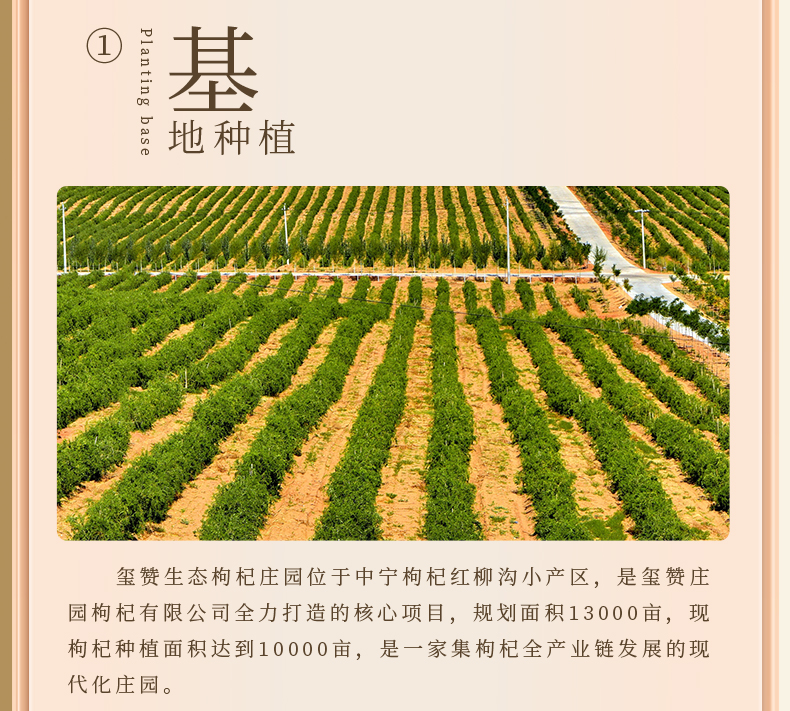 微信图片_20240824115411.jpg