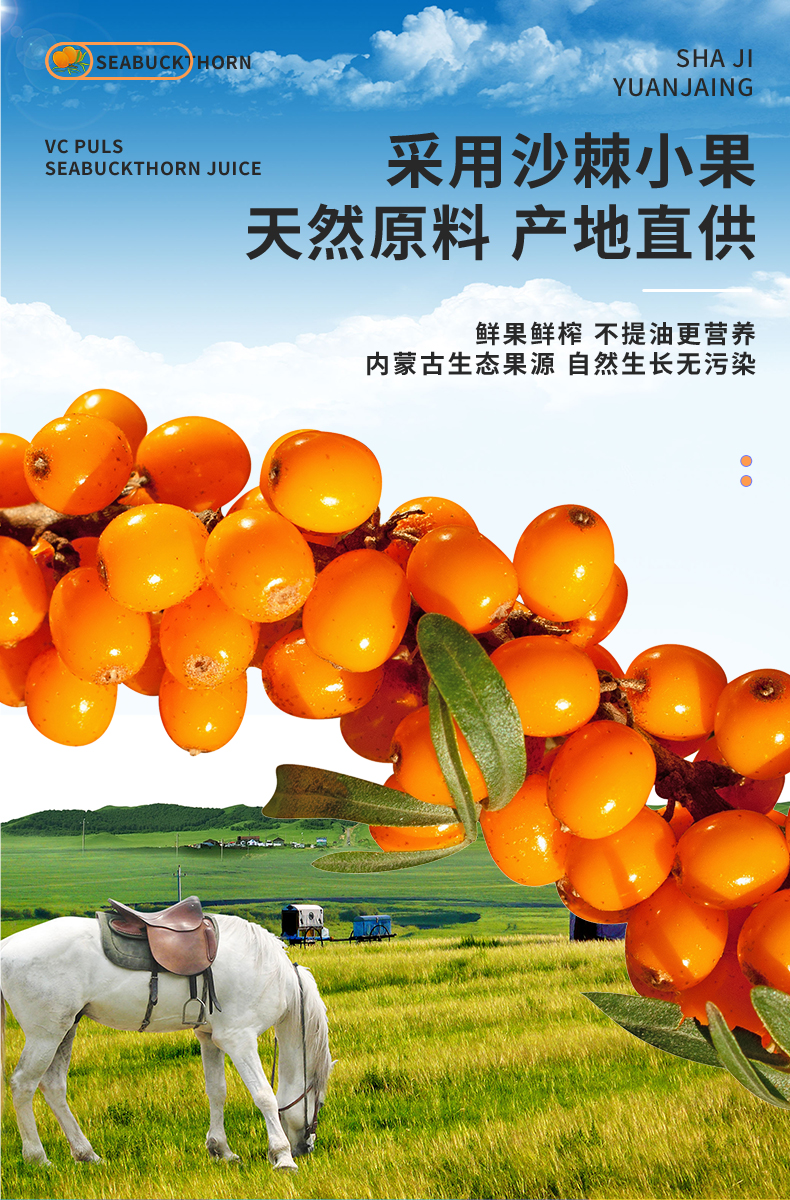 微信图片_20240824115344.jpg